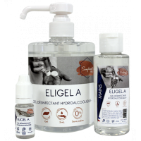 Gel hydroalcoolique désinfectant Eligel A